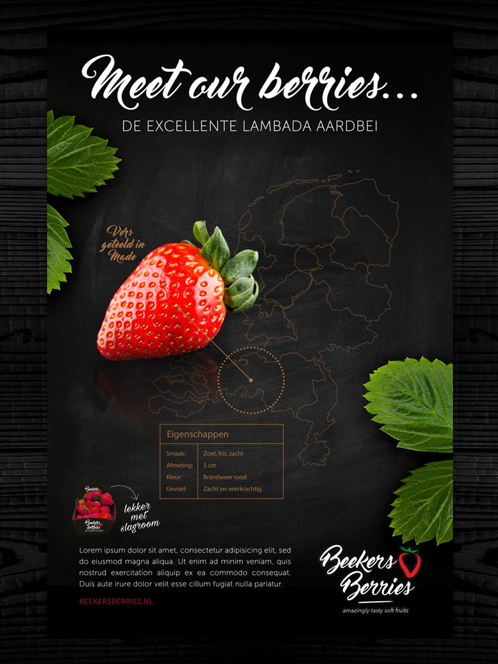 Concept Ontwerp Vormgeving Leaflet Folder